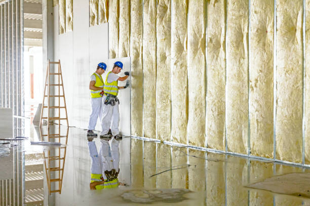 Best Eco-Friendly Insulation in Groesbeck, OH